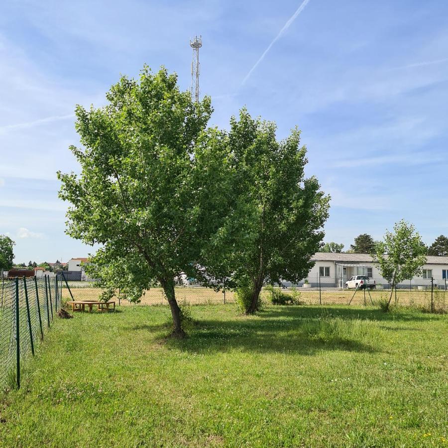 Tiny House Neusiedl an der Zaya Exterior foto